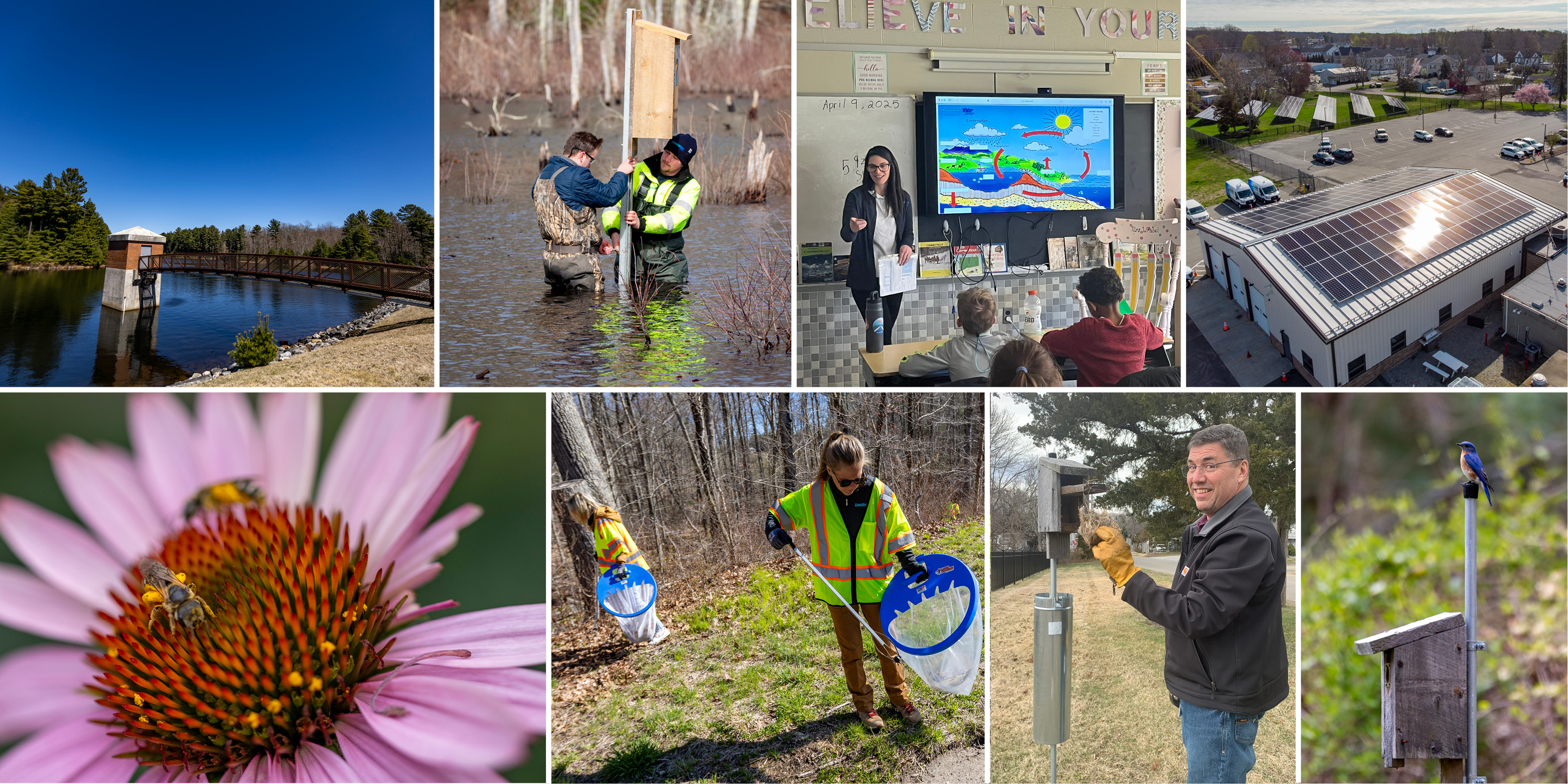 Connecticut Water team takes care of the environment