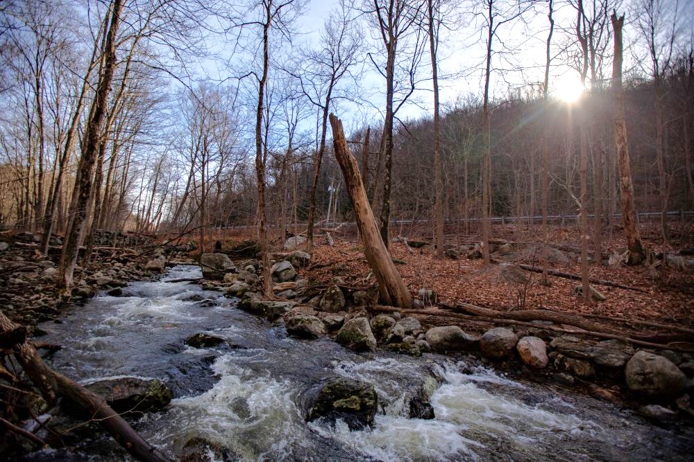 A stream flows through the Three Sisters Preserve in Bethany.