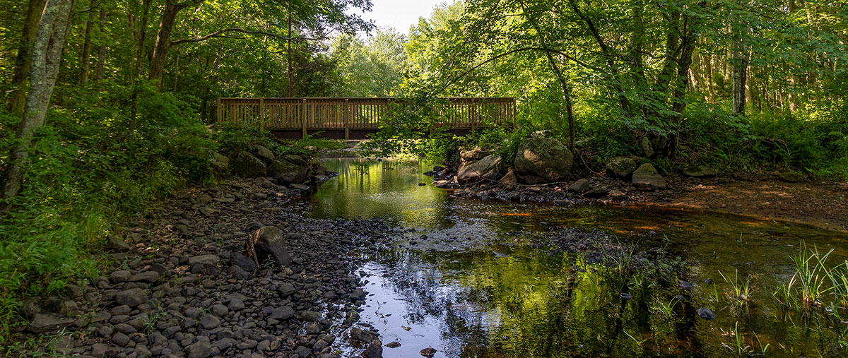 A bridge along the Killingworth Trail